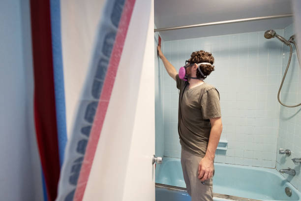  Silver Springs, NV Mold Removal Pros