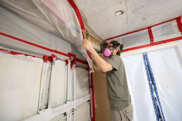 Reliable Silver Springs, NV Mold Removal Solutions