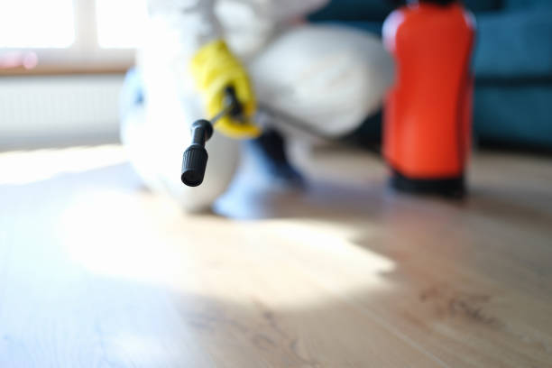Best Indoor Air Quality Assessment  in Silver Springs, NV