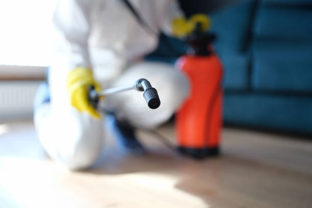 Best Water Damage & Mold Remediation  in Silver Springs, NV