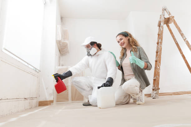 Best Residential Mold Inspection & Testing  in Silver Springs, NV